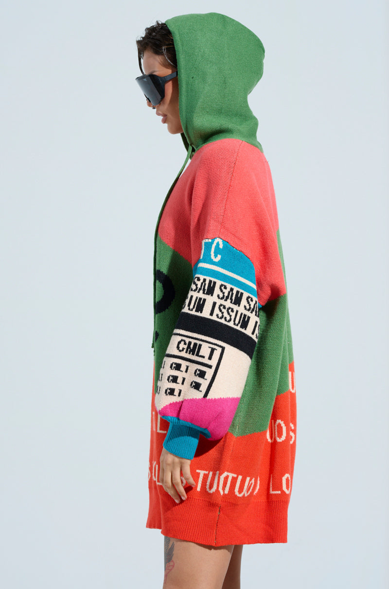 LOUD AND PROUD PULLOVER HOODED SWEATER DRESS